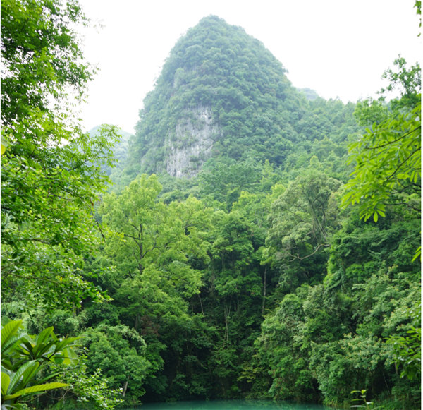 賞華夏大地，游多彩貴州-－2021年廣東博皓快樂行-2