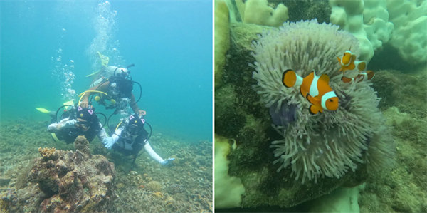 暢游碧海藍天，共筑團隊夢想—博皓沙巴風情之旅        -4