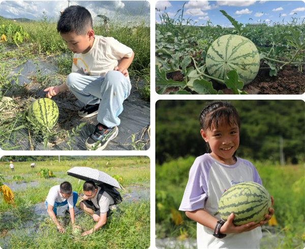 趣游盛夏，一路童行—2024年廣東博皓親子游   -12