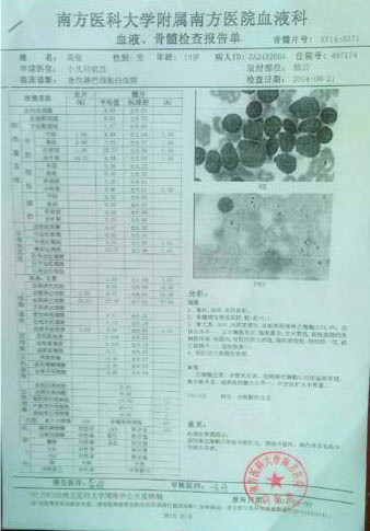 高俊的血液、骨髓檢查報告單